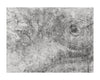 WOODLAND HAND-LOOMED RUG - GREY - 9' X 12'