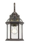Annex 1 Light Outdoor Wall Light in Rust Finish