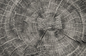 Curved Wood Stool, Thin, Gray Stone