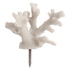 Coral Wall Play, Outdoor Cream