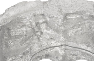 Rock Pond Mirror A, Silver Leaf
