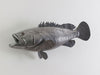 Estuary Cod Fish, Polished Aluminum