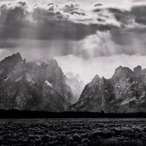 Grand Teton Range By Getty In Black Maple F
