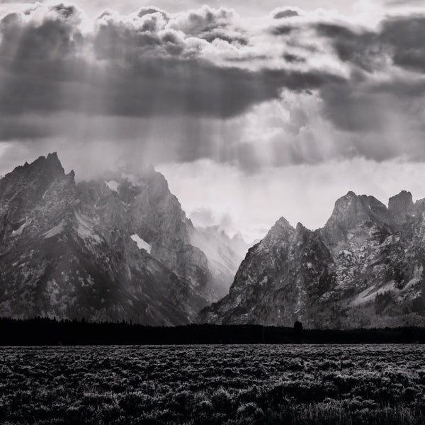 Grand Teton Range By Getty In Black Maple F