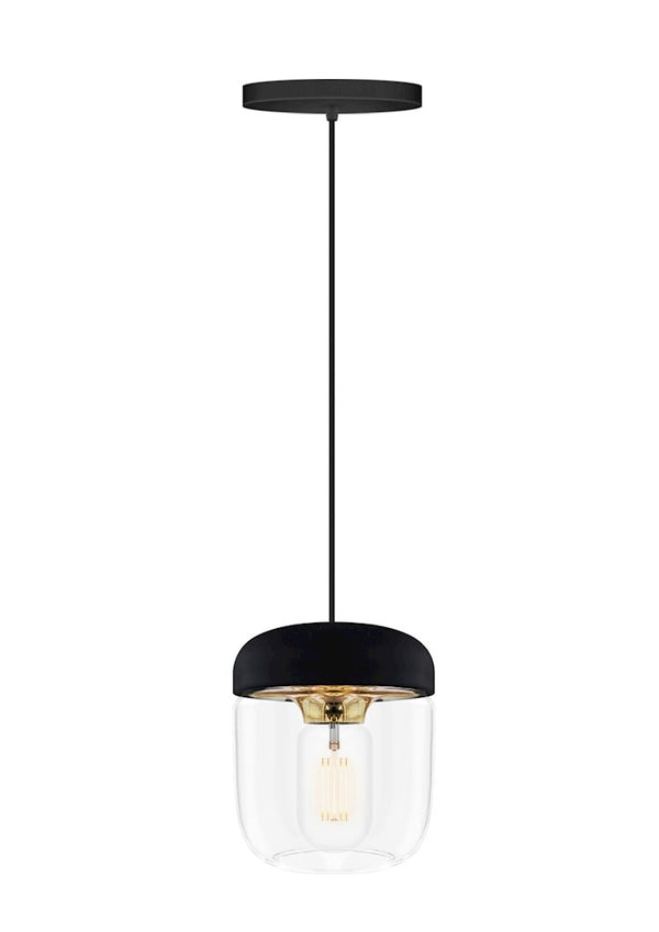 Acorn Black and Brass Hardwired Pendant with LED Bulb
