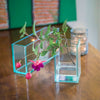 Glass Camille Vase 3"Sqr