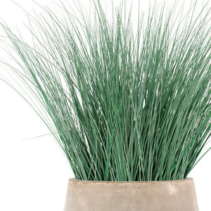 Bear Grass in Urbano Bell Fiber Clay Planter, SMAL