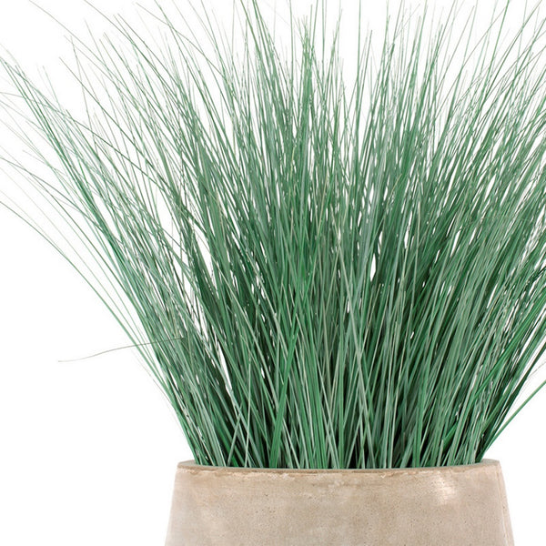 Bear Grass in Urbano Bell Fiber Clay Planter, SMAL