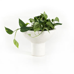 Pressler Outdoor Planter, Set 2 In Plaster