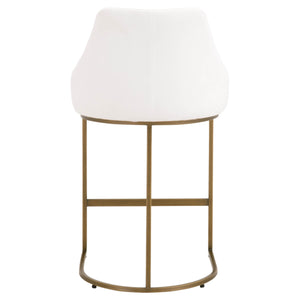 Parissa Counter Stool, Set of 2