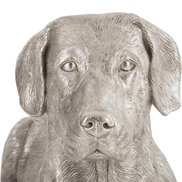 Labrador Laying, Silver Leaf