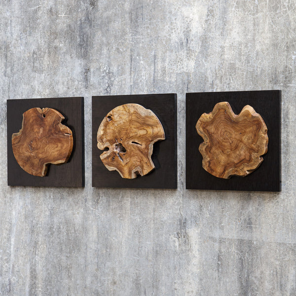 Kolini Teak Wood Wall Decor, S/3