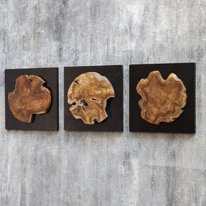Kolini Teak Wood Wall Decor, S/3