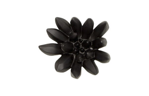 Compactum Succulent Wall Art , Smallooth Matte Black