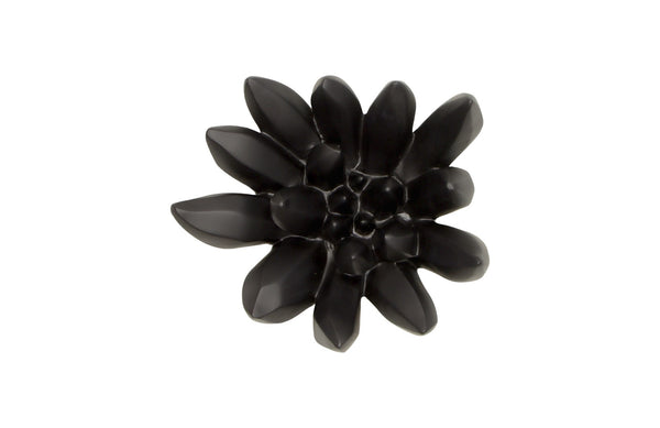 Compactum Succulent Wall Art , Smallooth Matte Black