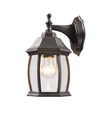 Waterdown 1 Light Outdoor Wall Light in Oil Rubbed Bronze Finish