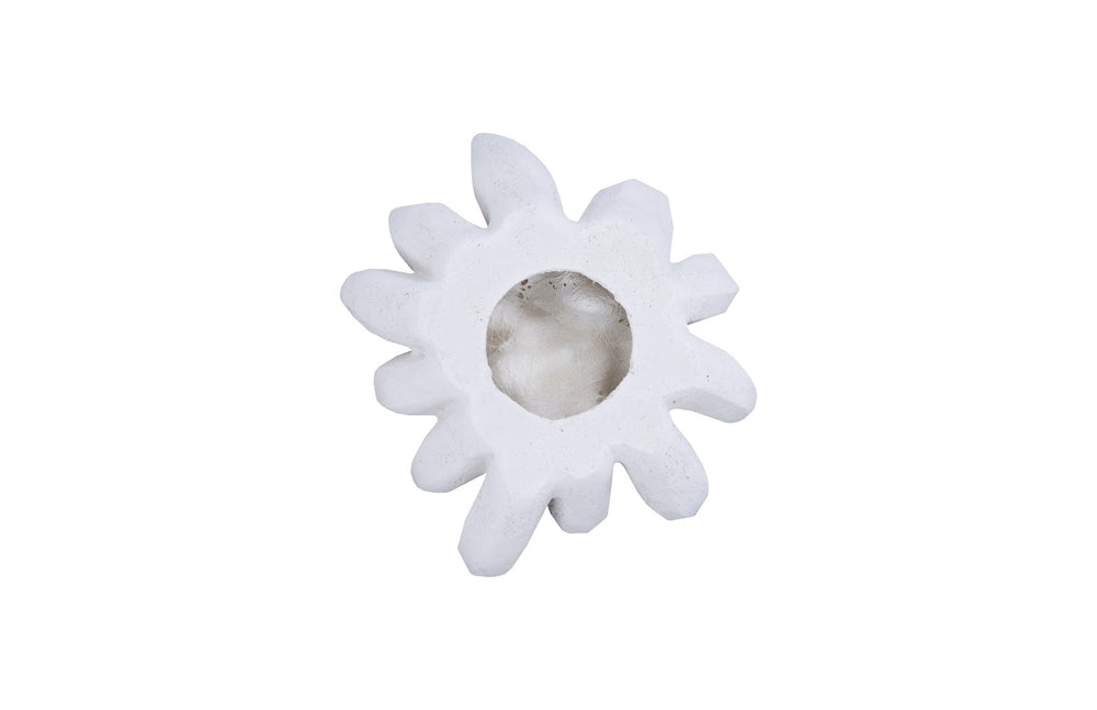 Compactum Succulent Wall Art, White Stone