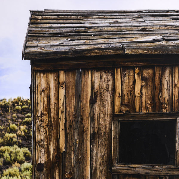 Portal by Shade Degges In 249831 And 002 And 30.0x40.0 And Rustic 2.5 Walnut And Large
