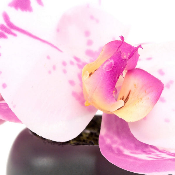 Orchid 4" Mound Design