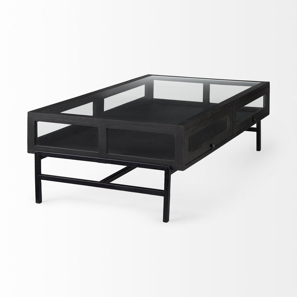 Arelius 42"L Rectangular Glass-Top Black-Brown Wood w/ Black Metal Base Display Coffee Table