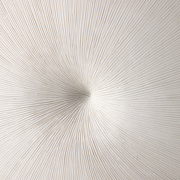 Busaba Table Lamp In Matte White