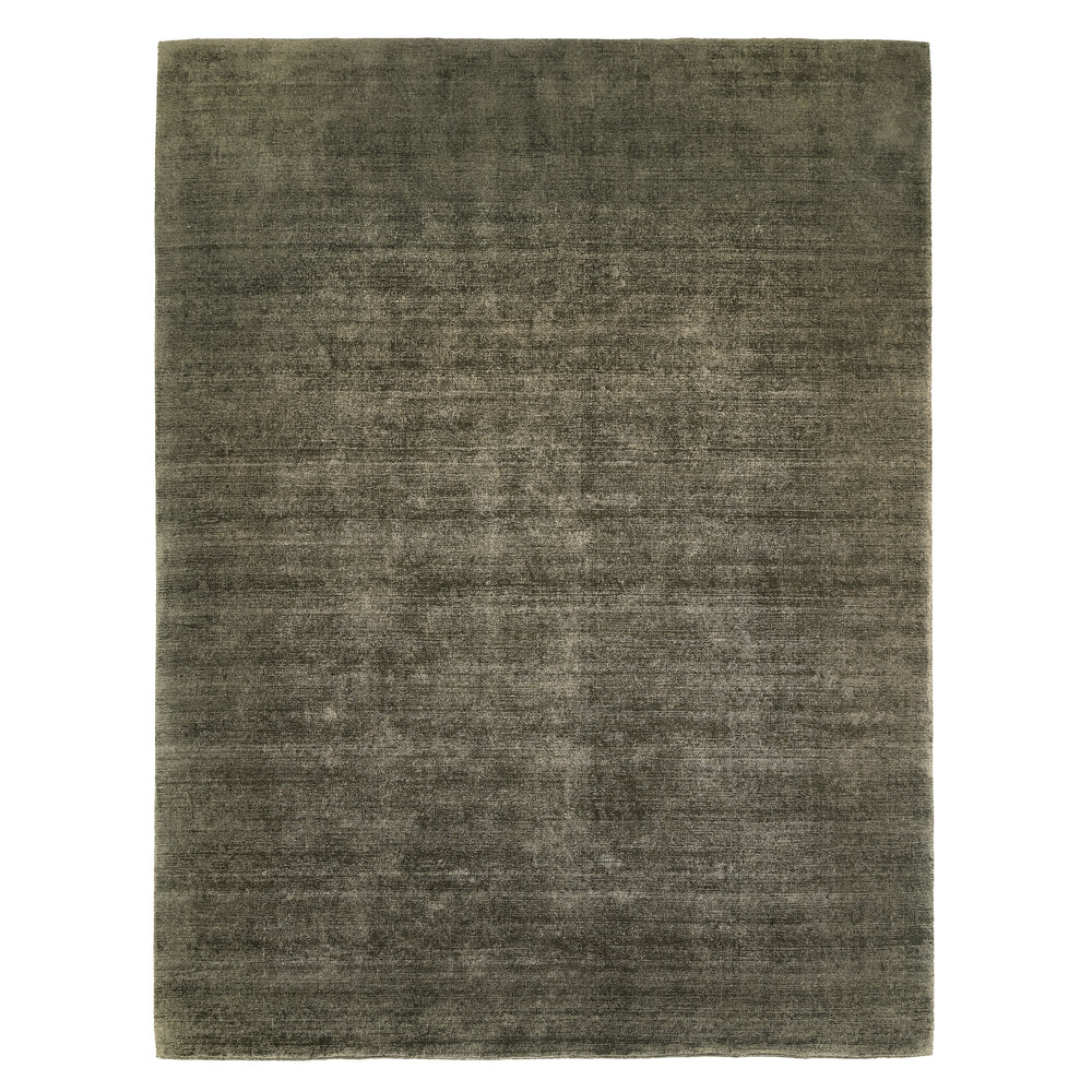 Blanton Outdoor Rug in Olive 10'x14''