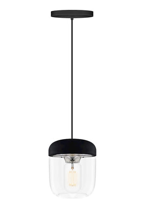 Acorn Black and Steel Hardwired Pendant with LED Bulb