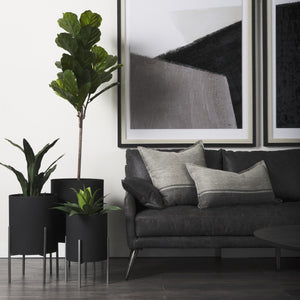 Claypoole (Set of 3) Black Plant Stands