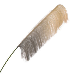Pampas Grass 70"H Flower Stem