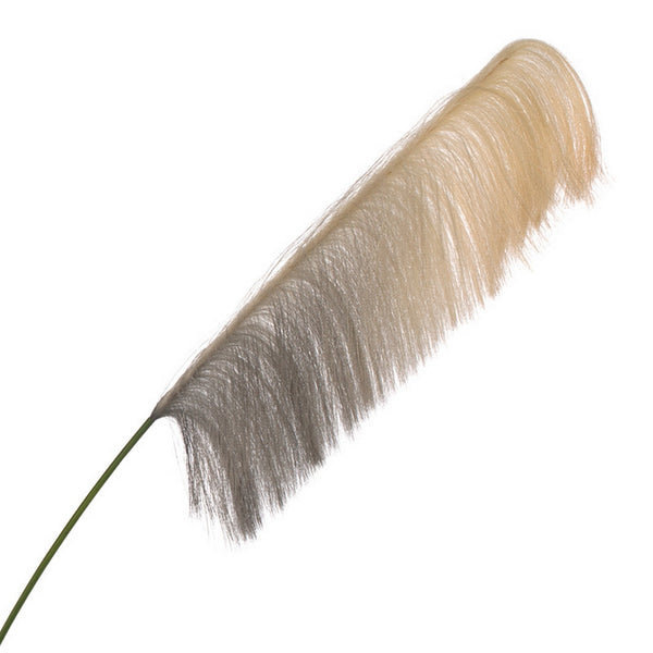 Pampas Grass 70"H Flower Stem