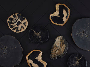 Cast Petrified Wood Wall Tile, Resin