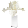 Orchid Sculpture In White