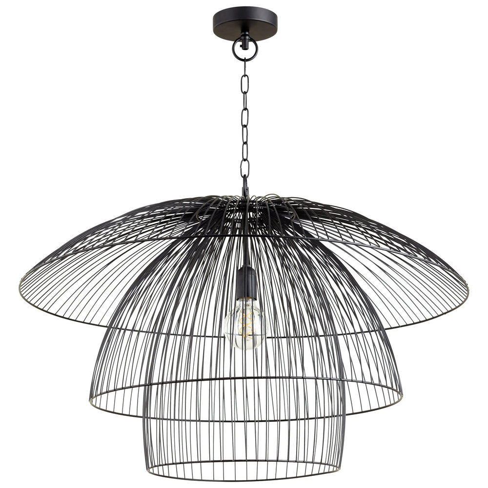 Canopy Pendant in Matte Black