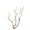 Sandblasted Manzanita