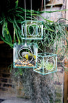 Hanging Glass Cube