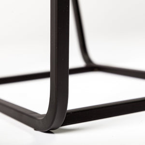 Arya (Set of 2) 24L x 10W Black Rectangular Glass Top Iron Frame Accent Table