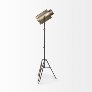 Debdou (61"H) Gold Metal Adjustable Cinema-Style Floor Lamp
