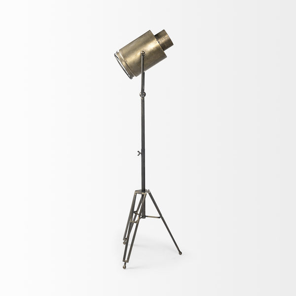 Debdou (61"H) Gold Metal Adjustable Cinema-Style Floor Lamp