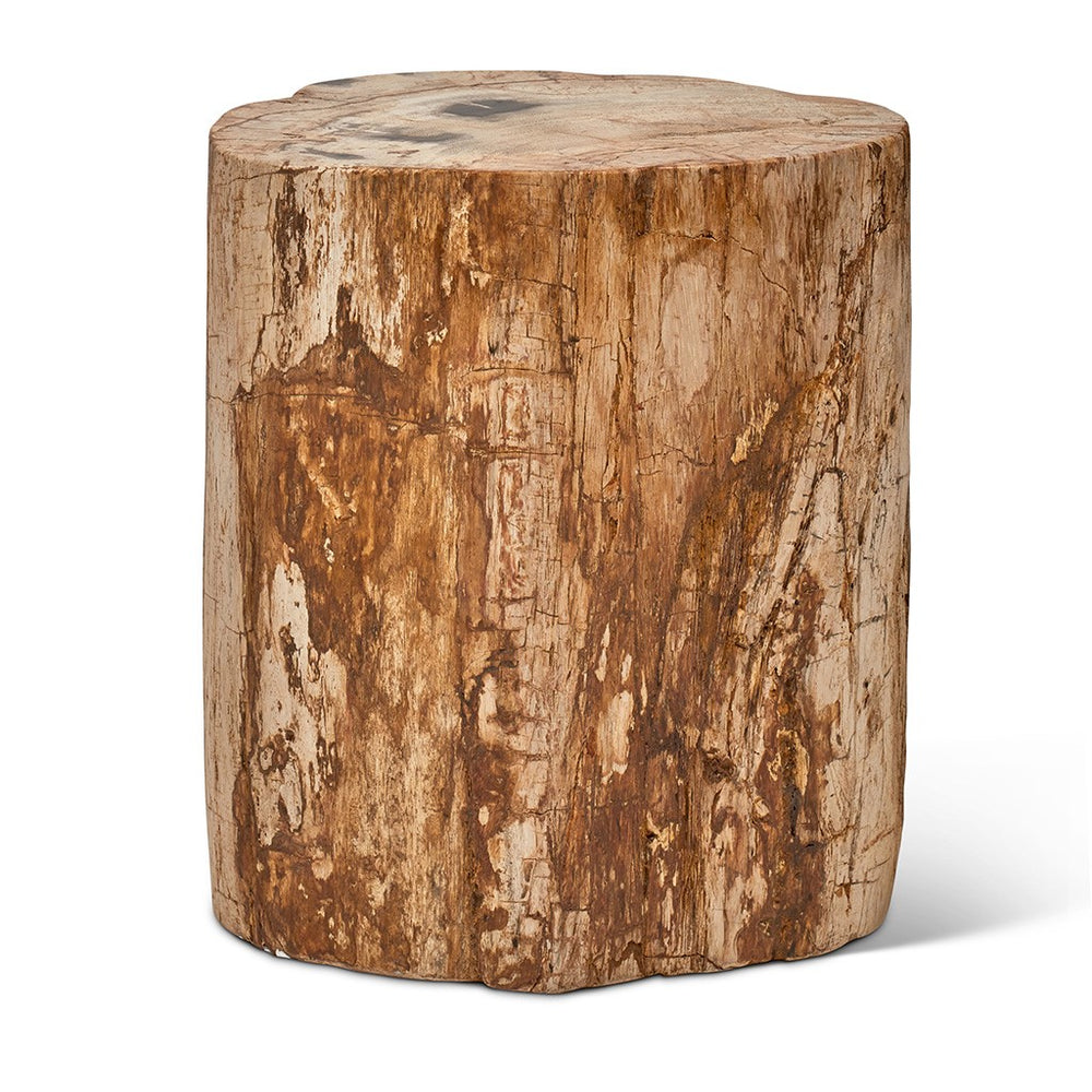 Petrified Wood Stump, Fully Polished
