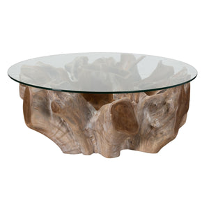 Hailey Teak Root/Glass Coffee Table - Natural White Wash