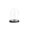 Glass Dome W/Plate Small Black Finish