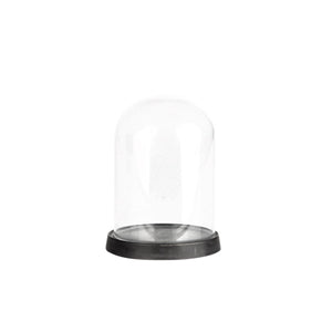 Glass Dome W/Plate Small Black Finish