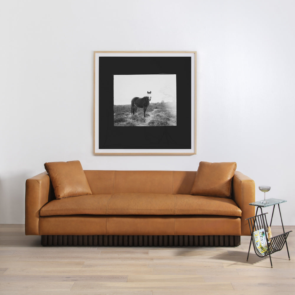 Blank Horse By Annie Spratt Framed Paper