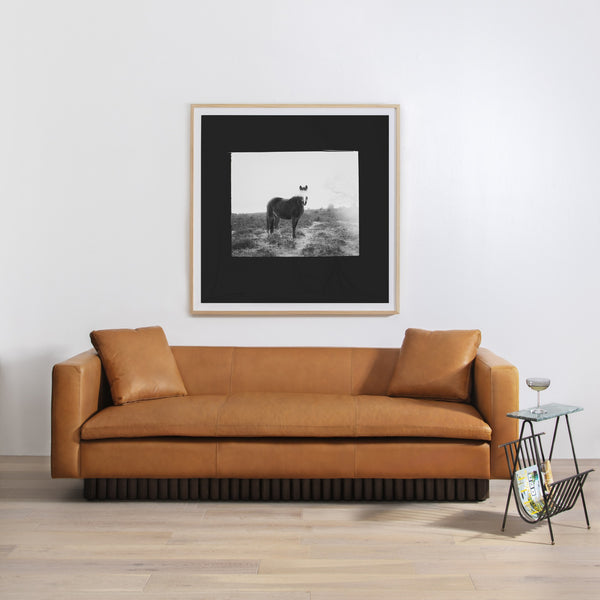 Blank Horse By Annie Spratt Framed Paper