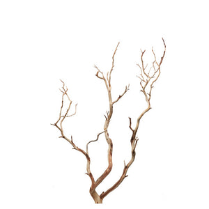 Sandblasted Manzanita