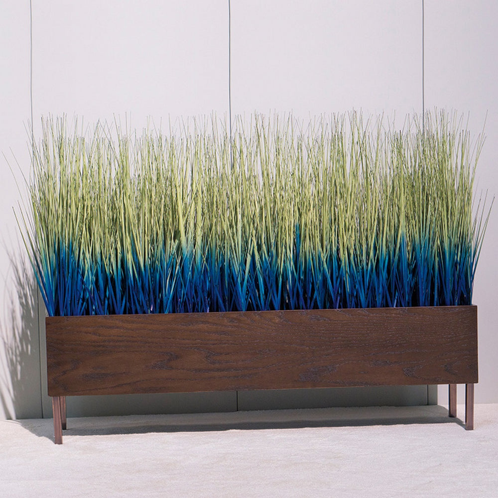 Ombre Japanese Grass in Custom Rectangle Planter