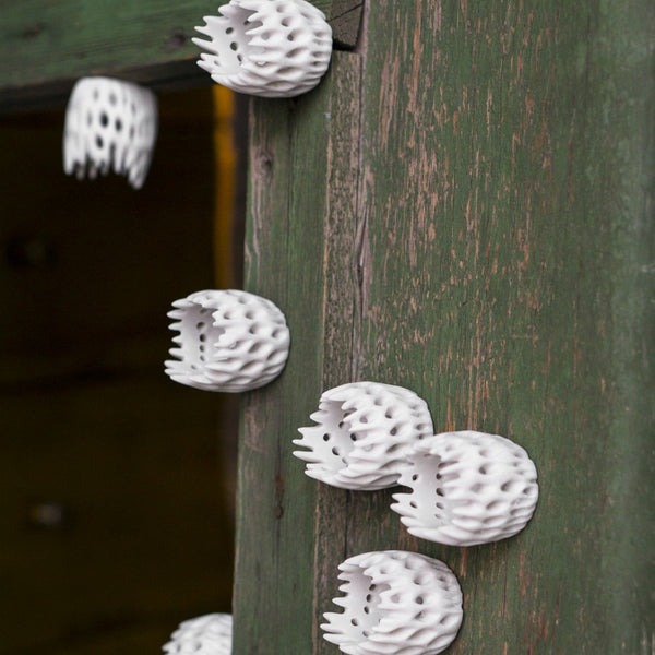 Wall Play, 'Cholla'