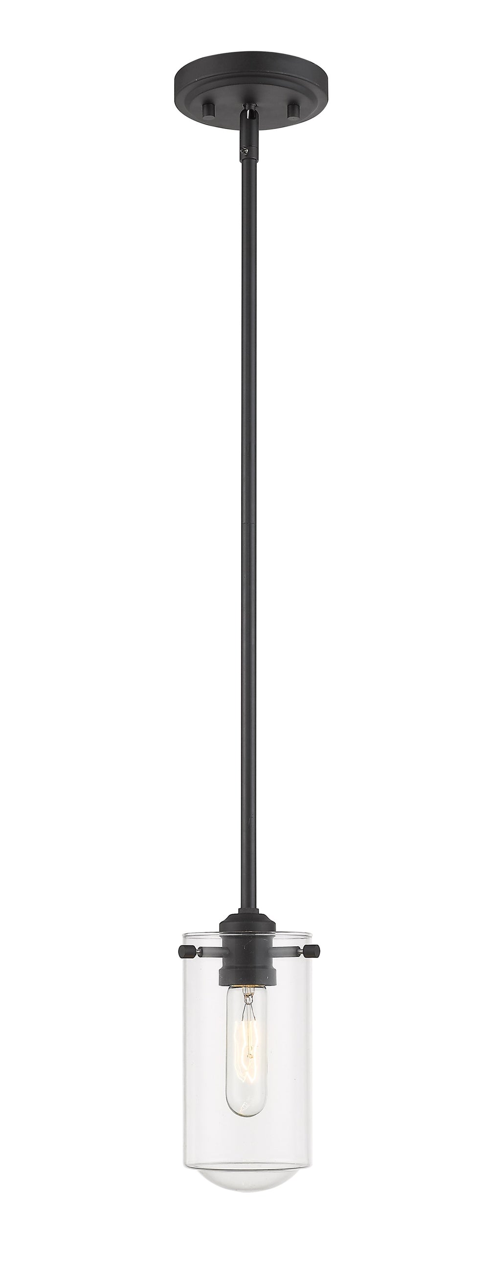 Delaney 1 Light Mini Pendant in Matte Black Finish