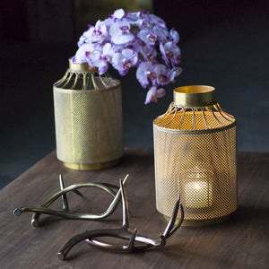 Deer Antlers, Set/2