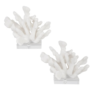 Charbel Bookends